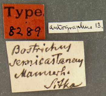 Media type: image;   Entomology 8289 Aspect: labels